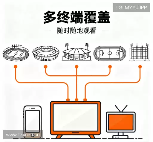 为什么选择我们